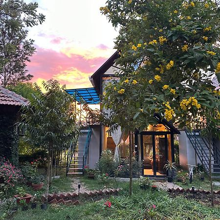 Chalets Resort Masinagudi أوتي المظهر الخارجي الصورة