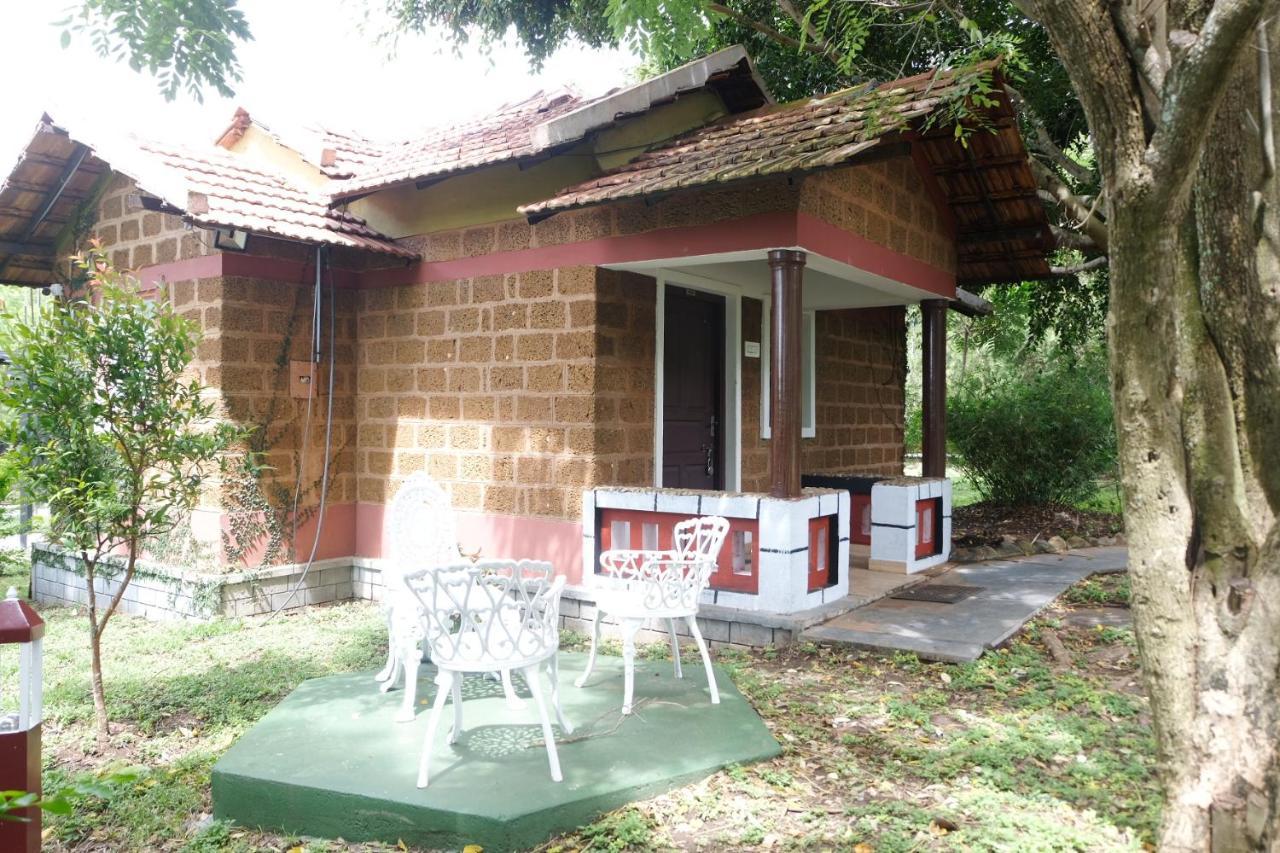 Chalets Resort Masinagudi أوتي المظهر الخارجي الصورة