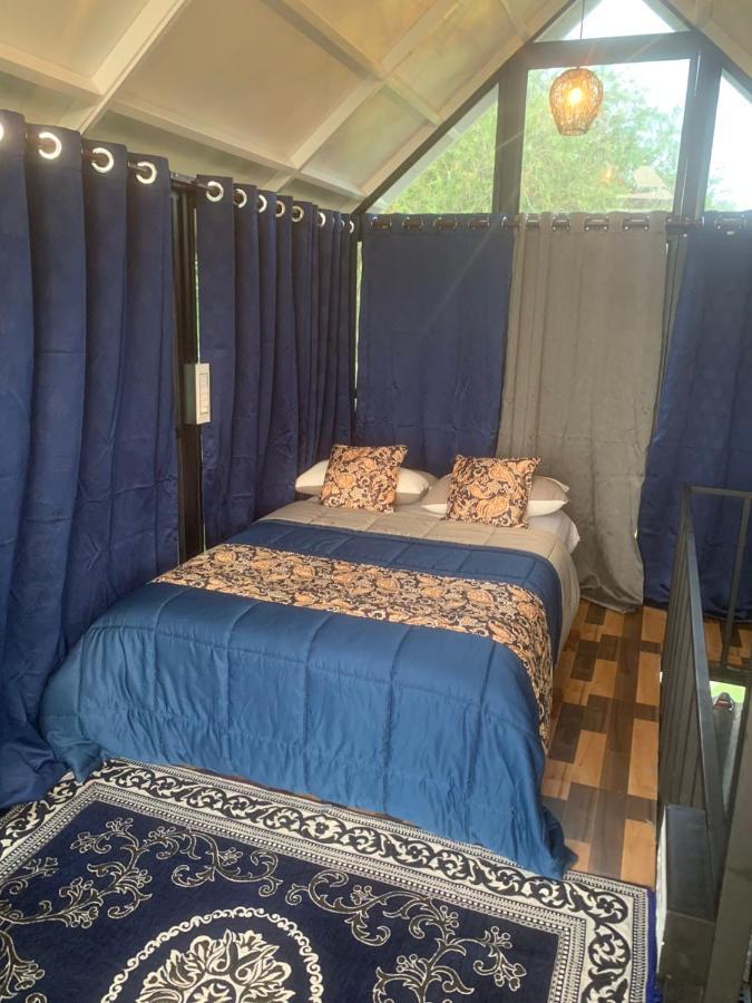 Chalets Resort Masinagudi أوتي المظهر الخارجي الصورة