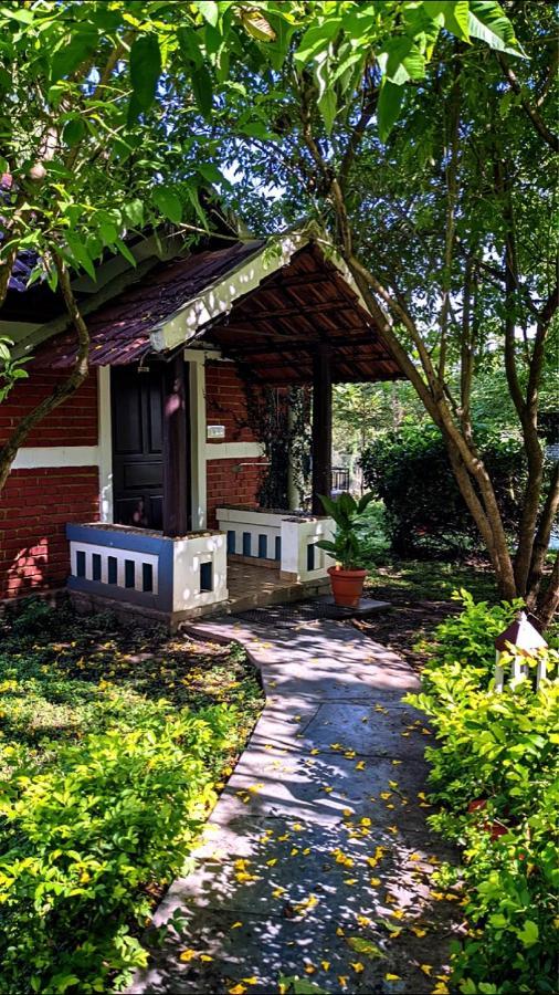 Chalets Resort Masinagudi أوتي المظهر الخارجي الصورة