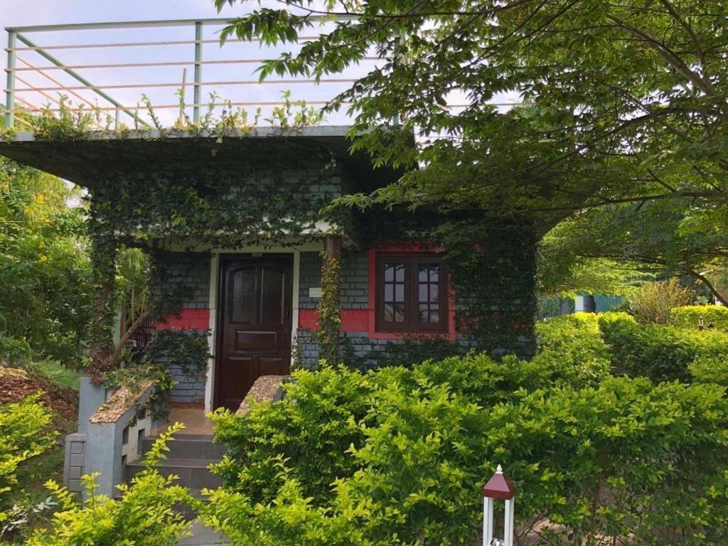 Chalets Resort Masinagudi أوتي المظهر الخارجي الصورة