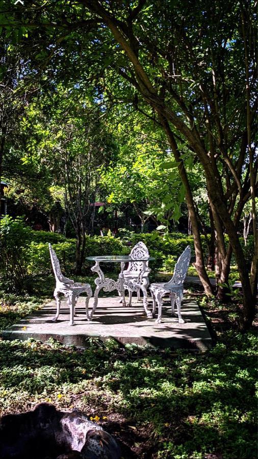 Chalets Resort Masinagudi أوتي المظهر الخارجي الصورة