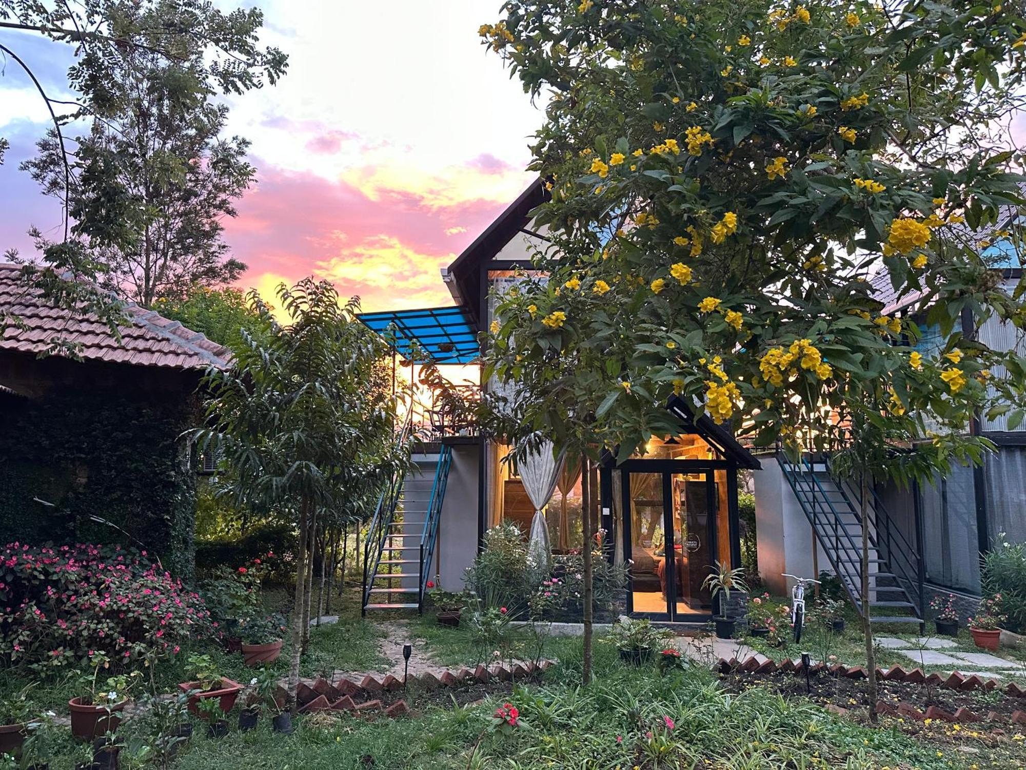 Chalets Resort Masinagudi أوتي المظهر الخارجي الصورة