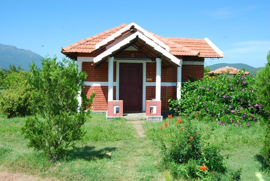 Chalets Resort Masinagudi أوتي المظهر الخارجي الصورة