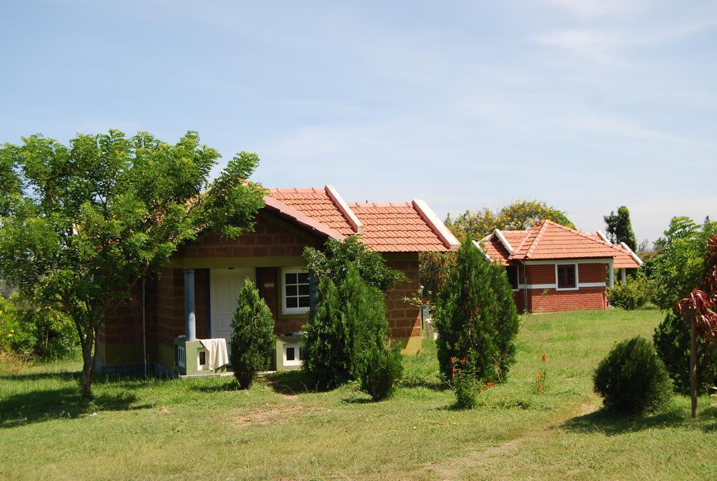 Chalets Resort Masinagudi أوتي المظهر الخارجي الصورة