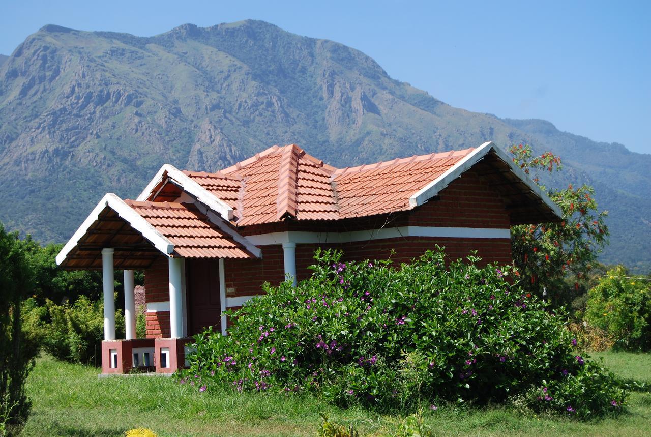Chalets Resort Masinagudi أوتي المظهر الخارجي الصورة